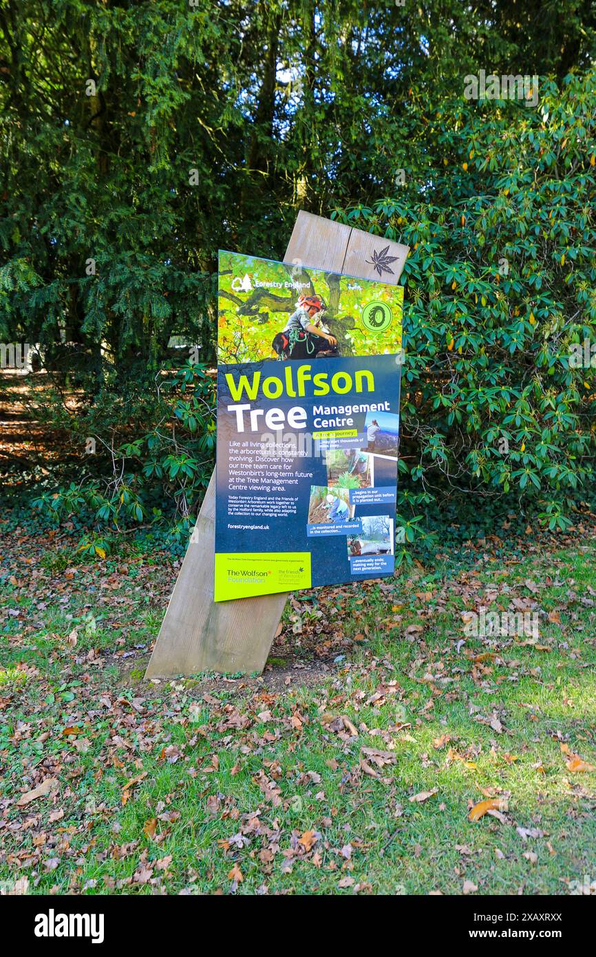 Ein Wolfson Tree Management Schild oder Informationstafel in Westonbirt Arboretum, Tetbury, Gloucestershire, England, Großbritannien Stockfoto