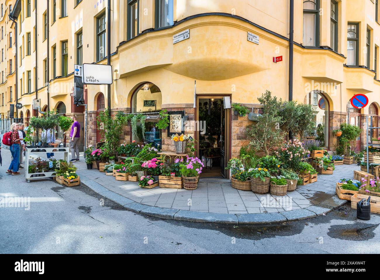 Blumenladen im Stadtteil Södermalm. Das ehemalige Arbeiterviertel ist ein angesagtes Wohn- und Einkaufsviertel und besteht aus sieben Häuserblocks mit Vintage-Geschäften, Kunstgalerien und Bio-Cafés. Blumenladen mit großzügigen Ausstellungen an einer Straßenecke in Stockholm, Schweden Stockfoto