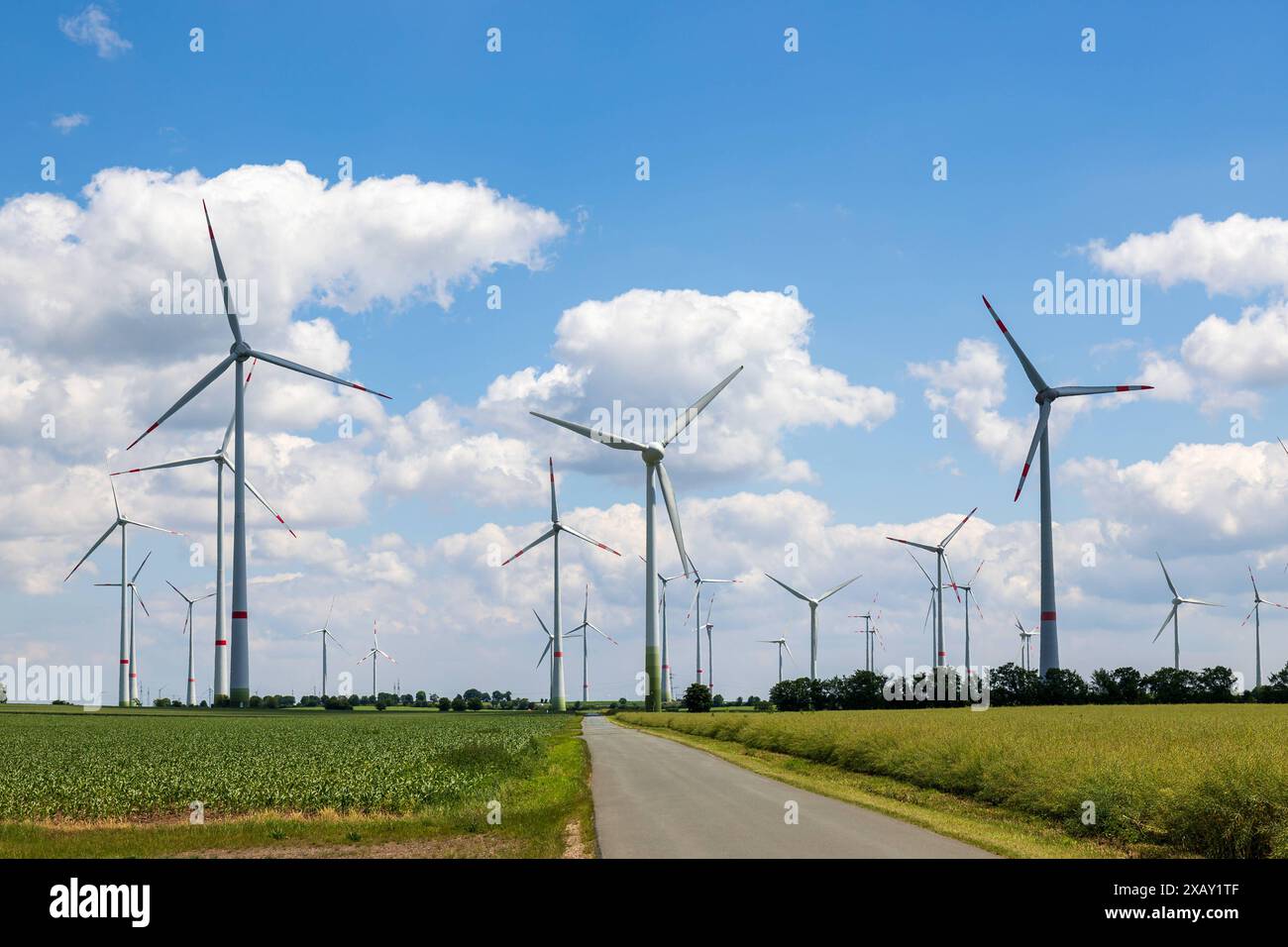 Windkraft in der Energiewende Windräder auf Felder in Ostdeutschland, die Szene verdeutlicht dezentrale Energieerzeugung und den Beitrag von Windkraft zur Energiewende und zum Energiemix. Teuchern Gröbitz Sachsen-Anhalt Deutschland *** Windkraft in der Energiewende Windräder auf Feldern in Ostdeutschland, die Szene zeigt dezentrale Energieerzeugung und den Beitrag der Windenergie zur Energiewende und den Energiemix Teuchern Gröbitz Sachsen Anhalt Germany 20240609-6V2A1866 Stockfoto