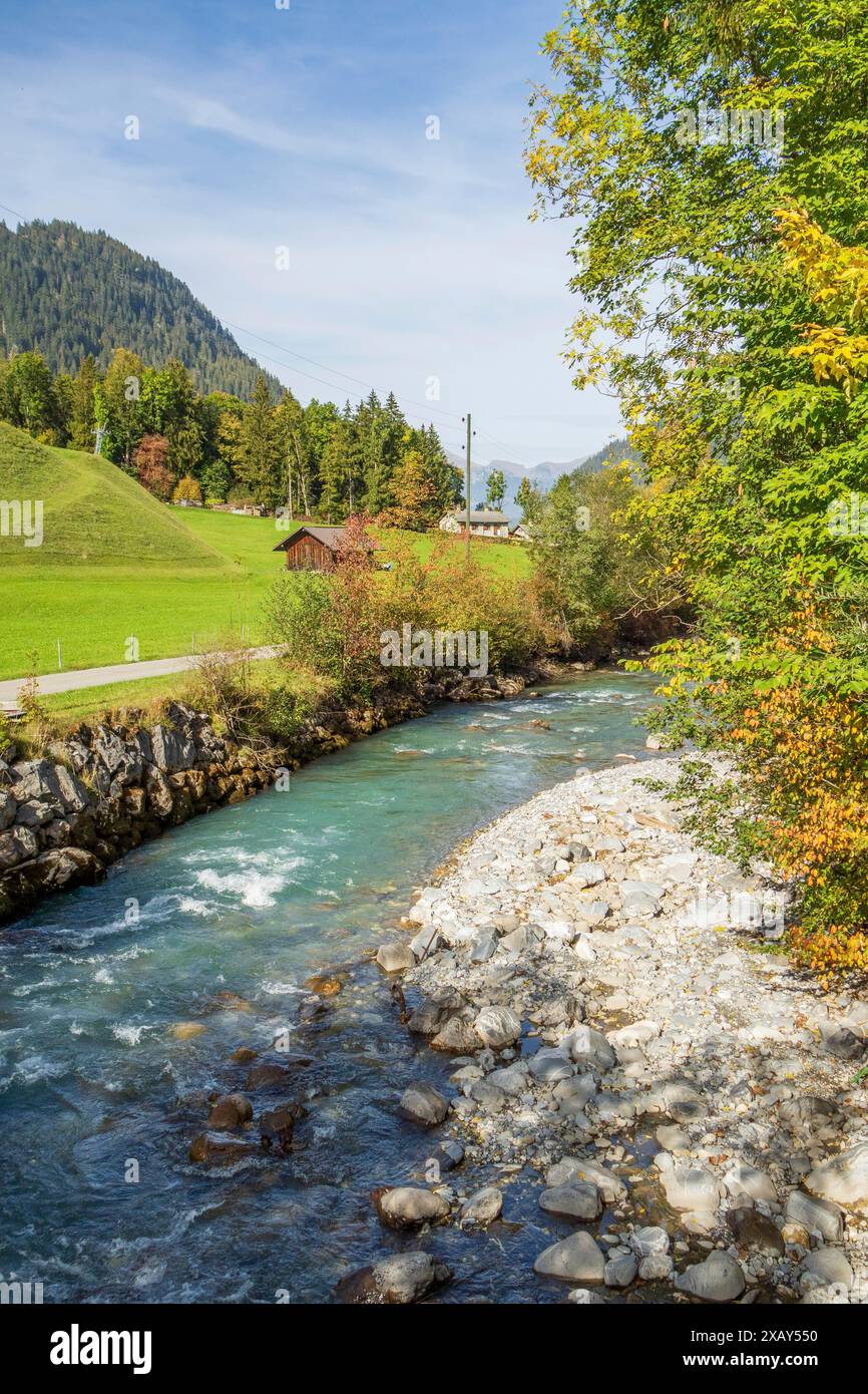 Ein klarer Fluss mit Steinen fließt durch eine grüne Landschaft, umgeben von Hügeln und Bäumen, graubuenden, schweiz Stockfoto