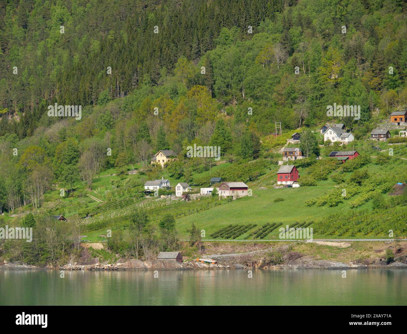 Kleine Gruppen von Häusern auf grünen Hügeln am Fjordufer bei sonnigem Wetter in ländlicher Landschaft, Eidfjoerd, Norwegen Stockfoto