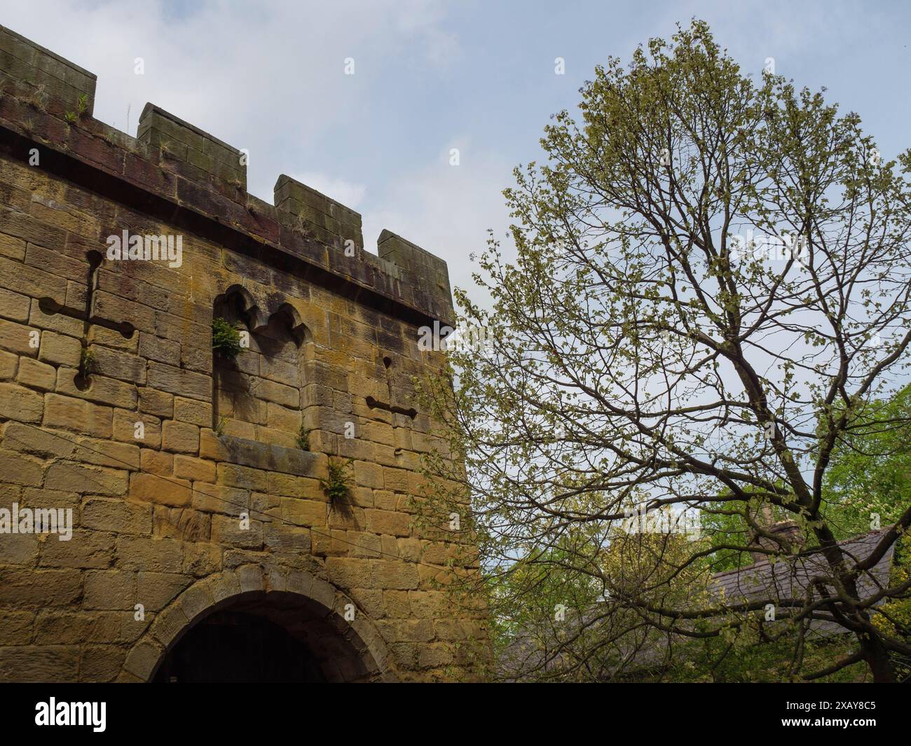 Eine alte Burgmauer mit Türmen und einem Baum im Vordergrund, Newcastle, England, Großbritannien Stockfoto