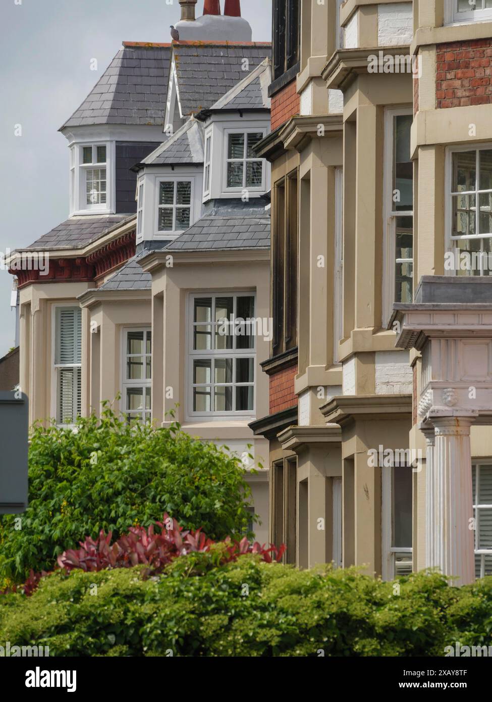 Reihe von Stadthäusern mit verschiedenen architektonischen Details und schrägen Dächern, umgeben von Bäumen, tynemouth, England, Großbritannien Stockfoto