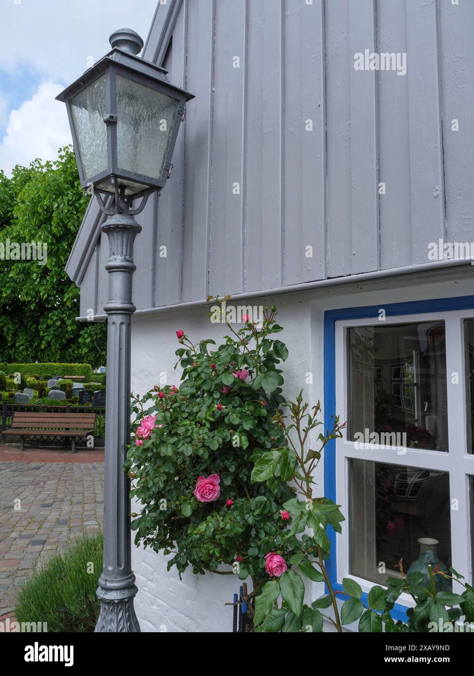 Ein graues Haus mit einer blühenden Rosenpflanze neben einer Straßenlaterne, Schleswig-Holstein, Deutschland Stockfoto