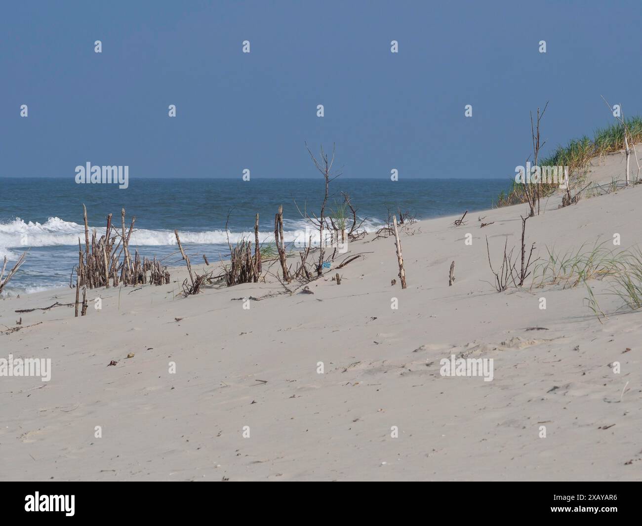 Teilweise sandbedeckte Holzstücke am Strand, mit Blick auf das Meer und die Dünen, Juist, ostfriesland, deutschland Stockfoto