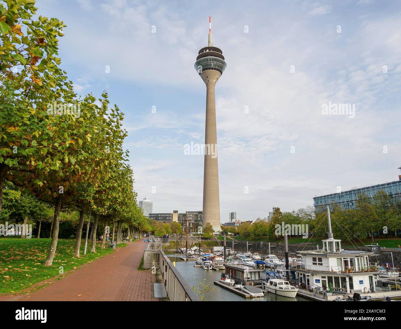 Fernsehturm und Yachthafen mit Booten entlang einer von Bäumen gesäumten Promenade, Düsseldorf, Nordrhein-Westfalen, DEUTSCHLAND Stockfoto
