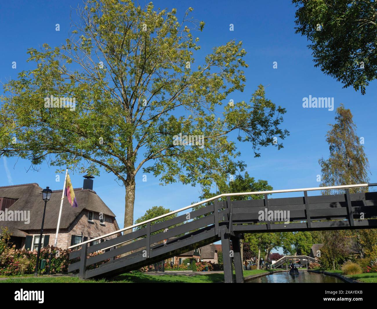 Malerische Szene mit einer Brücke über einen Kanal und einem großen Baum daneben, giethoorn, Niederlande Stockfoto