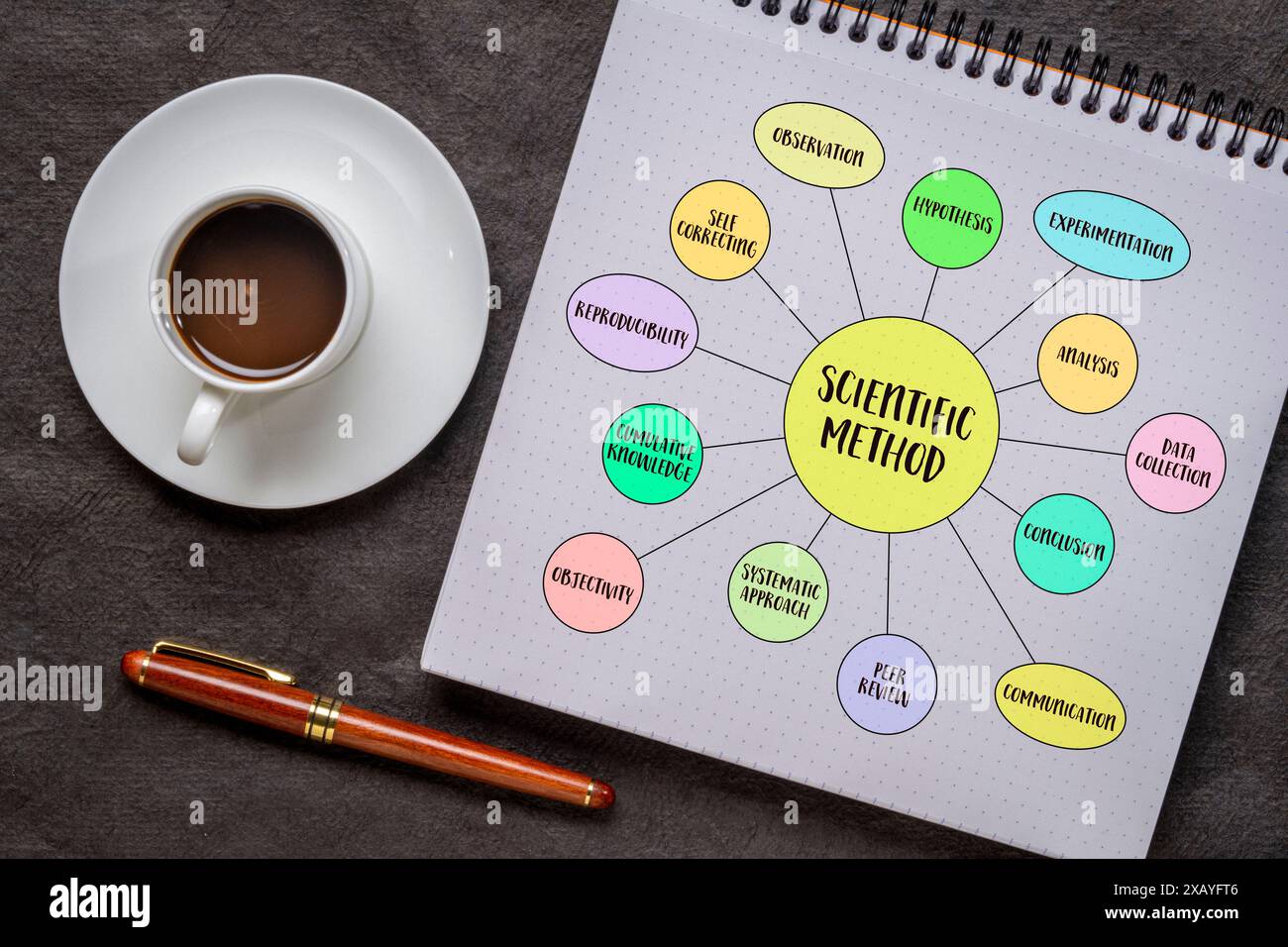 Infografiken für wissenschaftliche Methoden oder Mind-Map-Vektorskizze in einem Spiralheft mit Kaffee-, Wissenschafts- und Forschungskonzept Stockfoto
