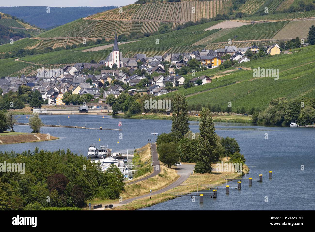 Das Weindorf Enkirch an der Mosel, Landkreis Berncastel-Wittlich, Rheinland-Pfalz, Deutschland Stockfoto