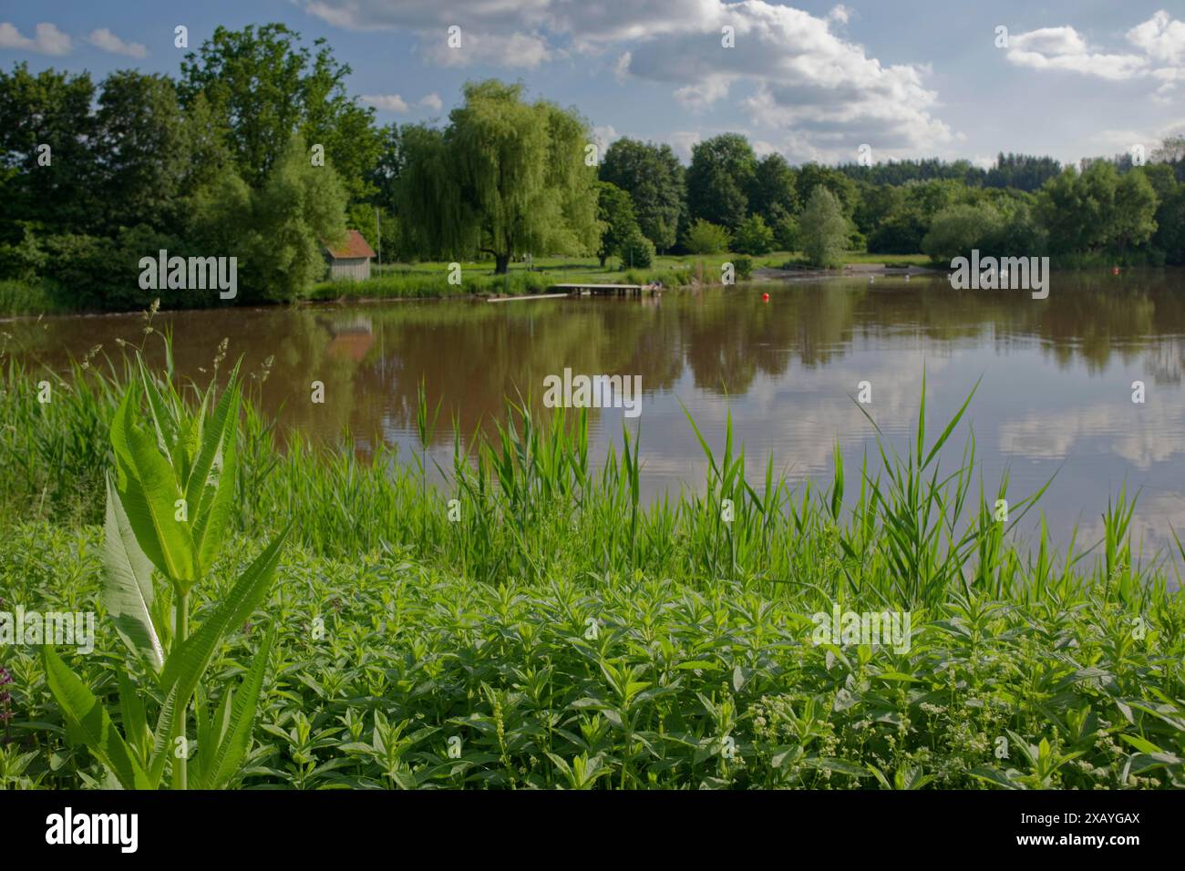 Starkholzbacher See nach dem kontinuierlichen Niederschlag am Pfingstsonntag 2024 und der Seentwässerung im Winter 2023-2024, Badewasser, Naherholungsgebiet Stockfoto