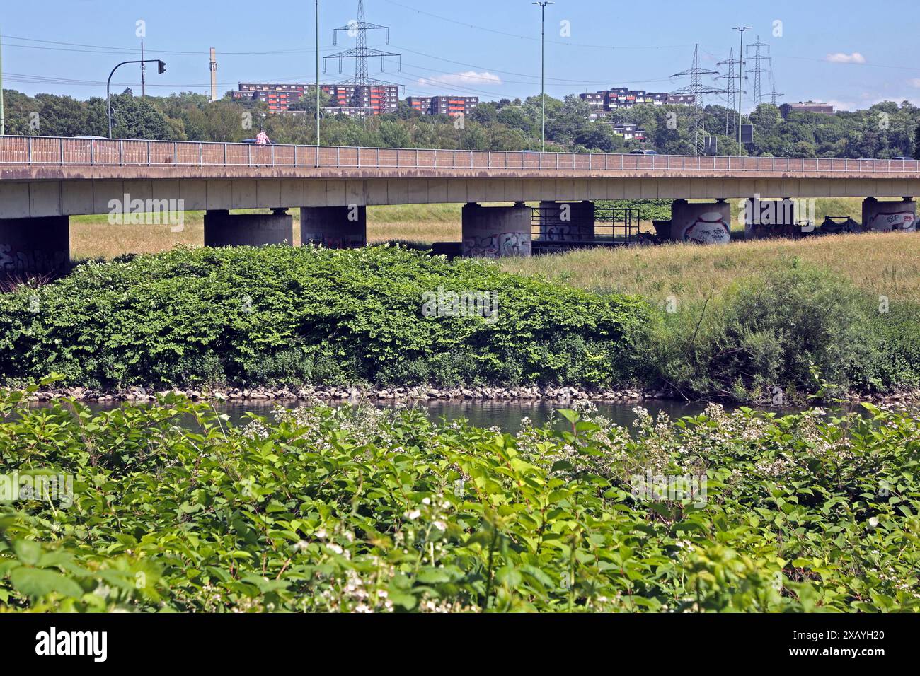 Brückenbauwerke in Nordrhein-Westfalen die Konrad-Adenauer-Brücke über der Ruhr und weiter als Marie-Juchacz-Straße als wichtiger Verbindungsweg im Ruhrtal zwischen der Innenstadt und den Vororten Essen Nordrhein-Westfalen Deutschland *** Brücken in Nordrhein-Westfalen die Konrad-Adenauer-Brücke über Ruhr und Marie die Juchacz-Straße als wichtige Verbindung im Ruhrtal zwischen der Innenstadt und den Vororten Essen Nord Rhein-Westfalen Deutschland Stockfoto
