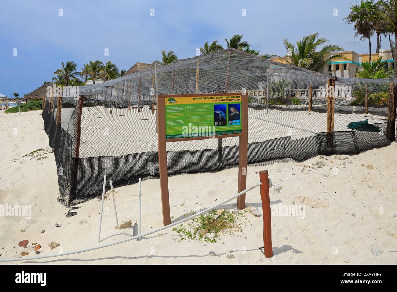 Schild zum Nistgebiet von Meeresschildkröten am Strand, Akumal, Quintana Roo, Yucatan Peninsular, Mexiko. Stockfoto