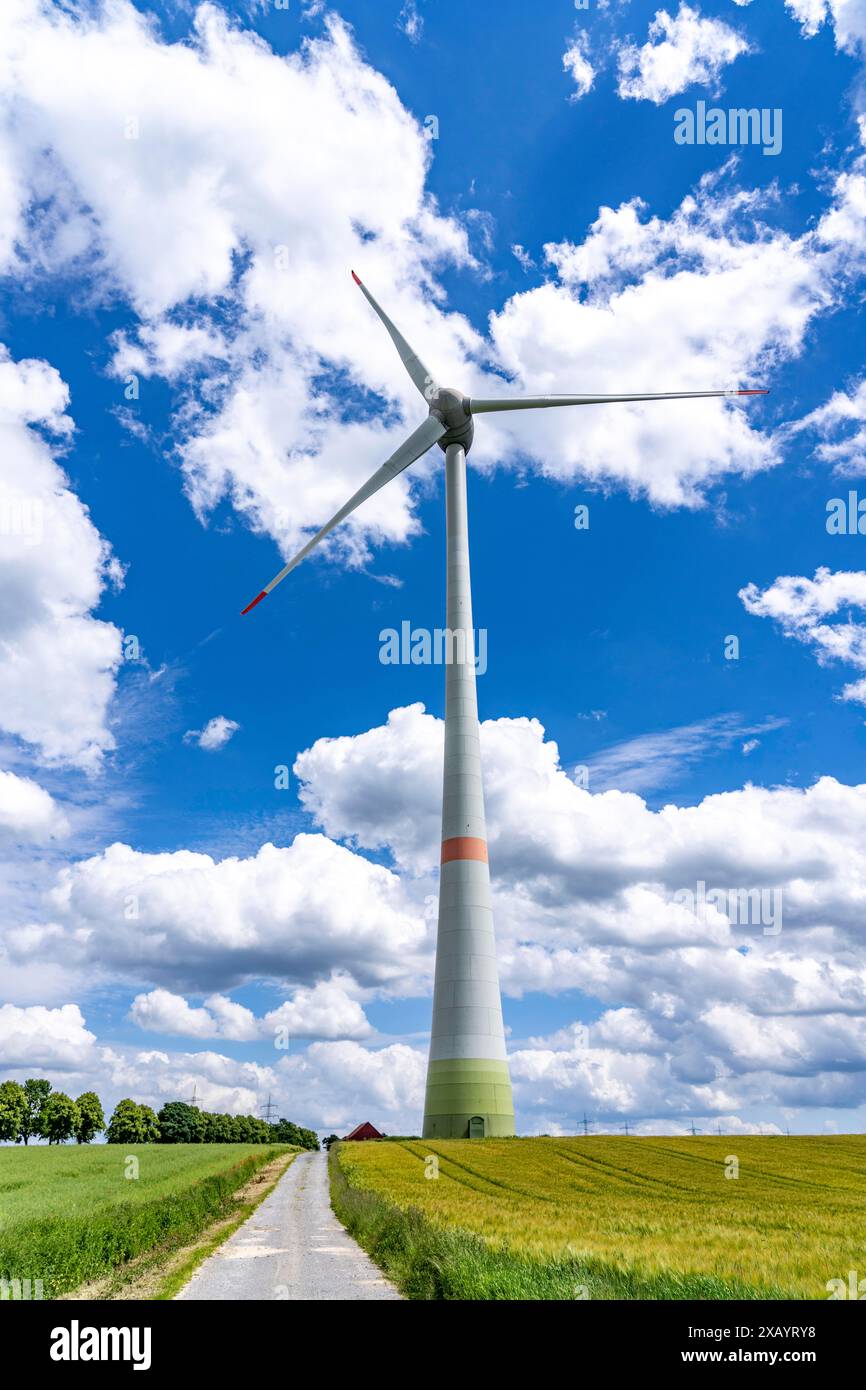 Windpark nördlich von Marsberg, Windkraftanlage Typ Enercon, Hochsauerlandkreis, NRW, Deutschland, Stockfoto