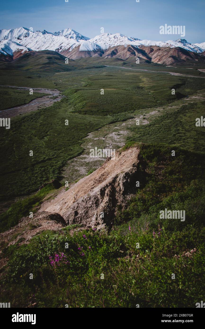 Erkunden Sie die kontrastreiche Schönheit Alaskas mit grünen Tälern, die zu schneebedeckten Gipfeln führen. Diese Landschaft fängt das Wesen der unberührten Wildnis ein Stockfoto