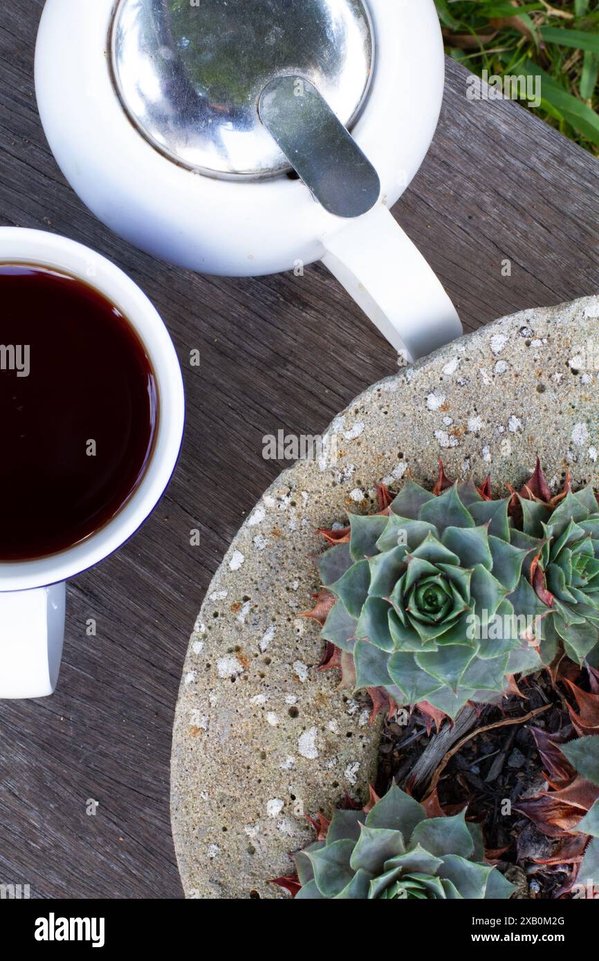 Blick von oben auf eine Tasse Tee im Hinterhof und eine Teetasse Stockfoto