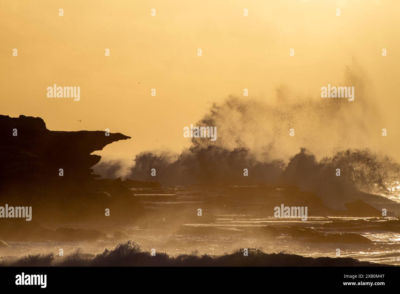 Sonnenaufgang über Maroubra Beach in Sydney Australien mit den Wellen, die auf die Klippen stürzen Stockfoto