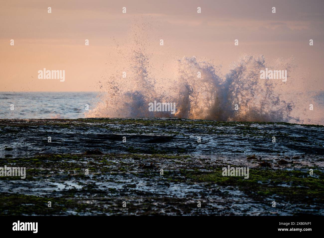 Sonnenaufgang am frühen Morgen über dem Strand in Sydney Australien Stockfoto