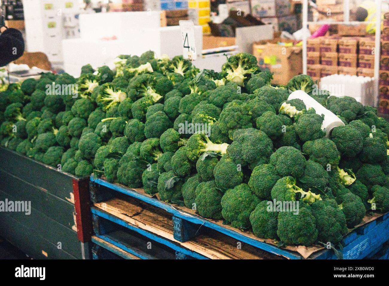 Flemington Markets Sydney Stockfoto