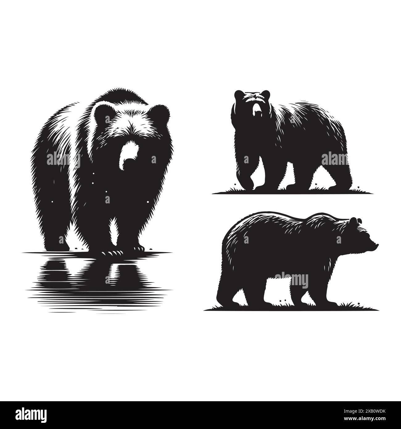 Silhouette Set aus Bär. Vektor-isolierte Abbildung Stock Vektor