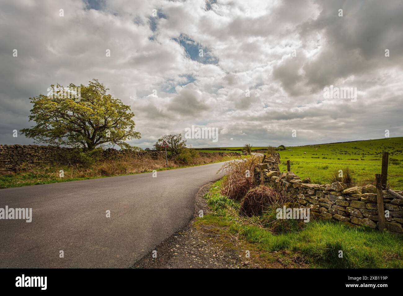 Slaidburn Area, Lancashire, England Stockfoto