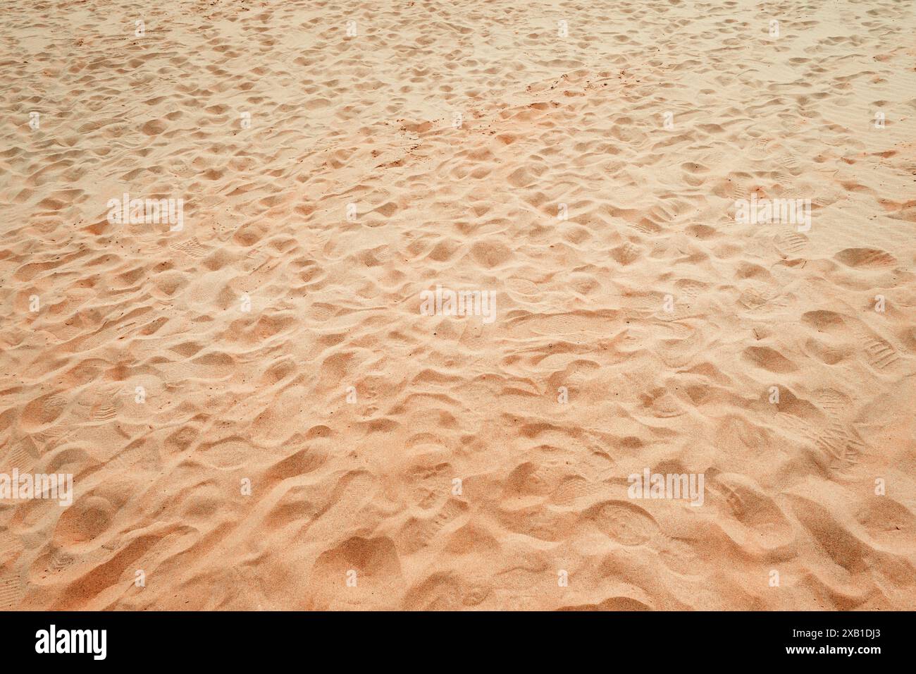 Schuhabdrücke auf tropischem Strandsand, selektiver Fokus Stockfoto