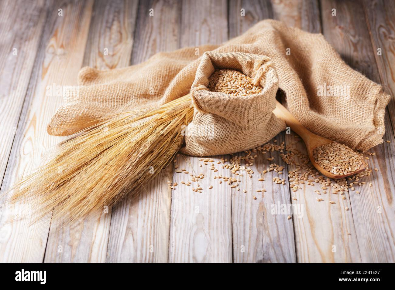 Nahaufnahme von Gerstenkörnern und Gerstenspitzen auf hölzernem Hintergrund Stockfoto
