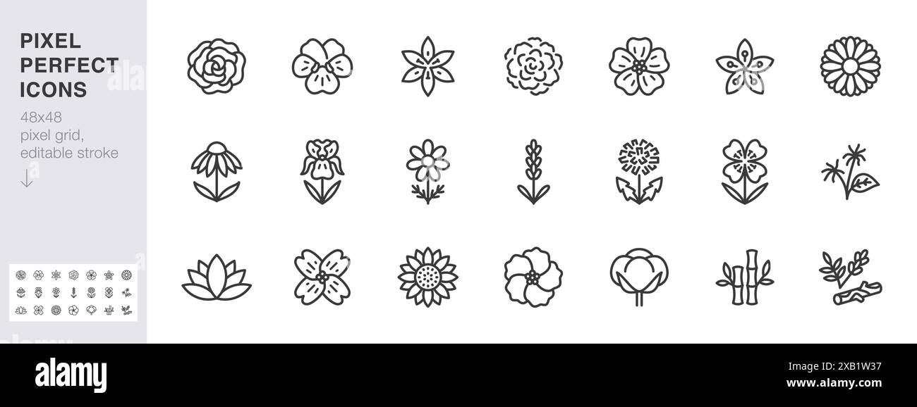 Medizinische Blumen Linie Symbolsatz. Rose, Violett, Jasmin, Ringelblume, Echinacea, iris, Kamillenminimalvektorillustrationen. Einfache Umrisszeichen für Stock Vektor