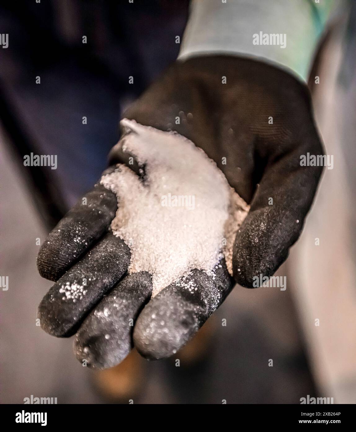 Raffinierter Zucker in der brasilianischen Zuckermühle Stockfoto