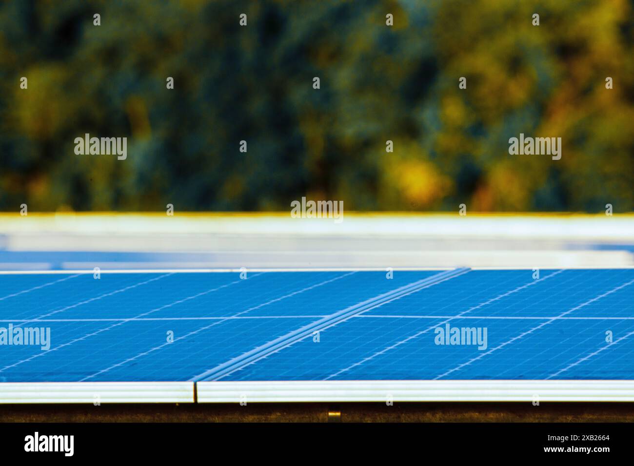 Solaranlage in der Nähe von Beaumont, Texas Stockfoto