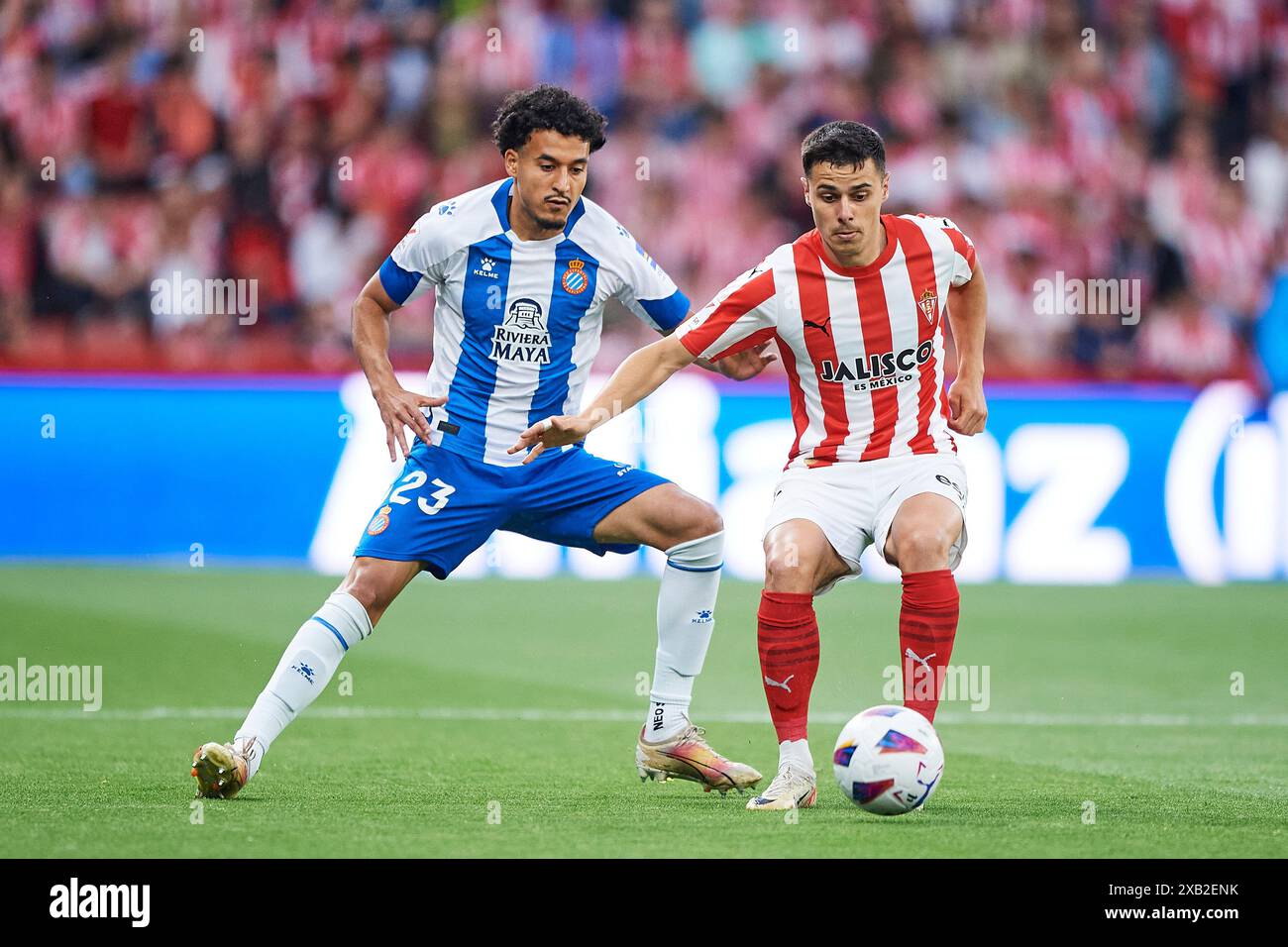 Gijon, Spanien. Juni 2024. Gaspar Campos von Real Sporting de Gijon treten am 9. Juni 2024 im El Molinon Stadium in Gijon, Spanien, im LaLiga Hypermotion-Spiel zwischen Real Sporting de Gijon und RCD Espanyol um den Ball an. Quelle: Cesar Ortiz Gonzalez/Alamy Live News Stockfoto