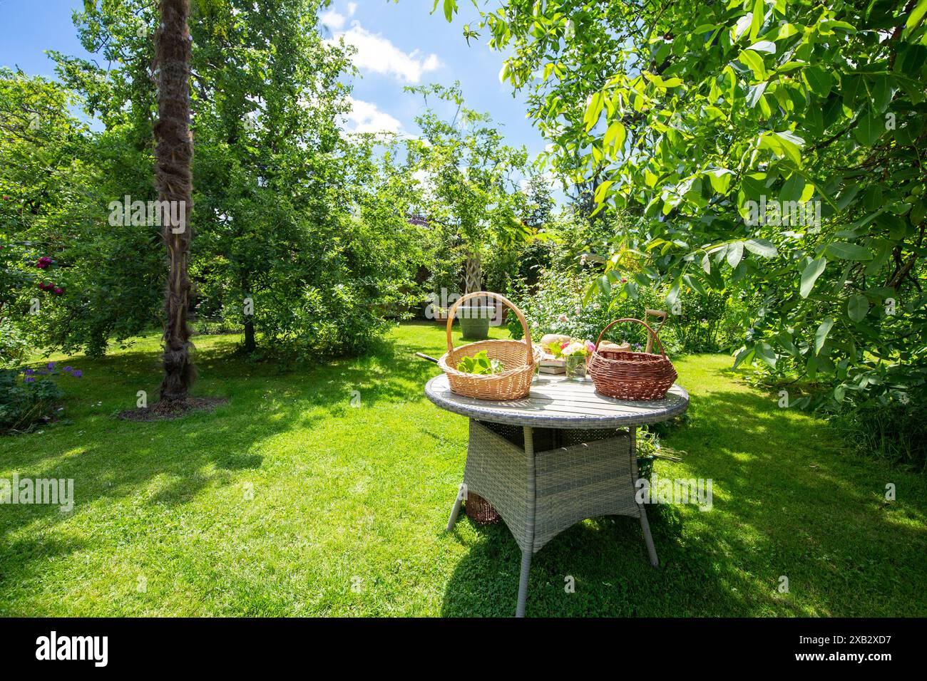 Eine ruhige Gartenszene auf dem Bauernhof mit einem runden Korbtisch mit frischen Produkten in Körben, üppigem Grün und blühenden Blumen. Stockfoto