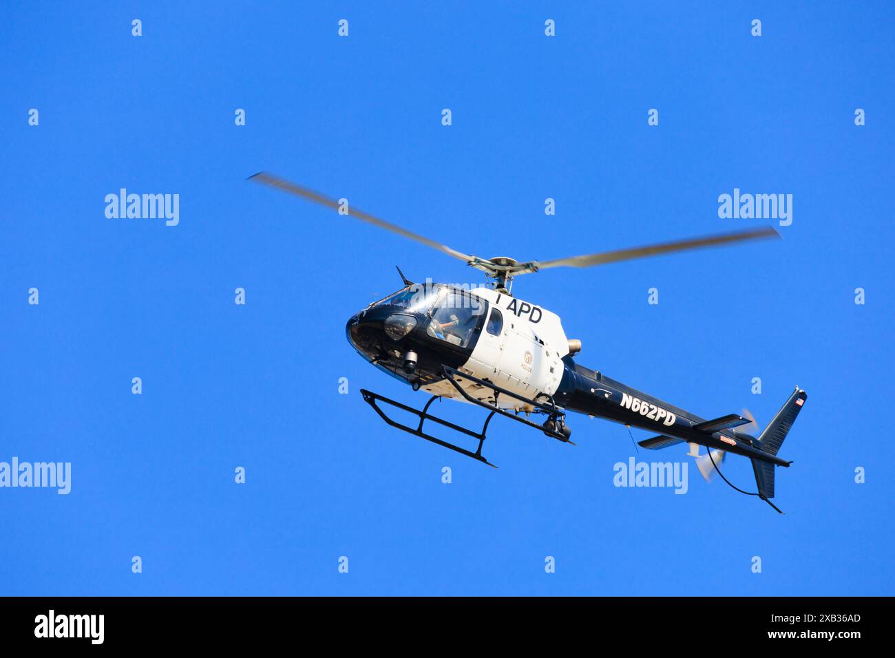 Eurocopter AS 350B2 "ecureuil" des Los Angeles Police Department Air Support Division, Oner Santa Monica, Los Angeles County, Kalifornien, Vereinigte St Stockfoto