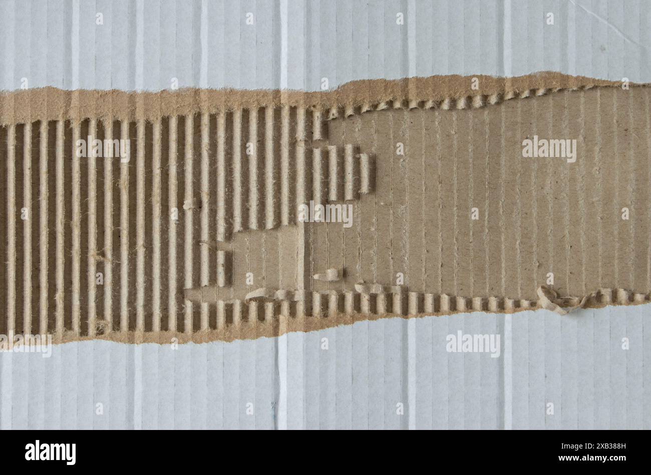 Schrott des weißen Pappkartons Hintergrund. Design-Element aus Schleifpapier. Schäbiges Fragment des Versandbehälters. Abgerissener Wellkarton. Stockfoto