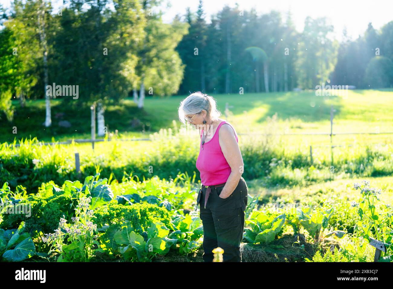Leitende Landwirtin bei der Untersuchung von Bio-Pflanzen in landwirtschaftlichen Betrieben Stockfoto