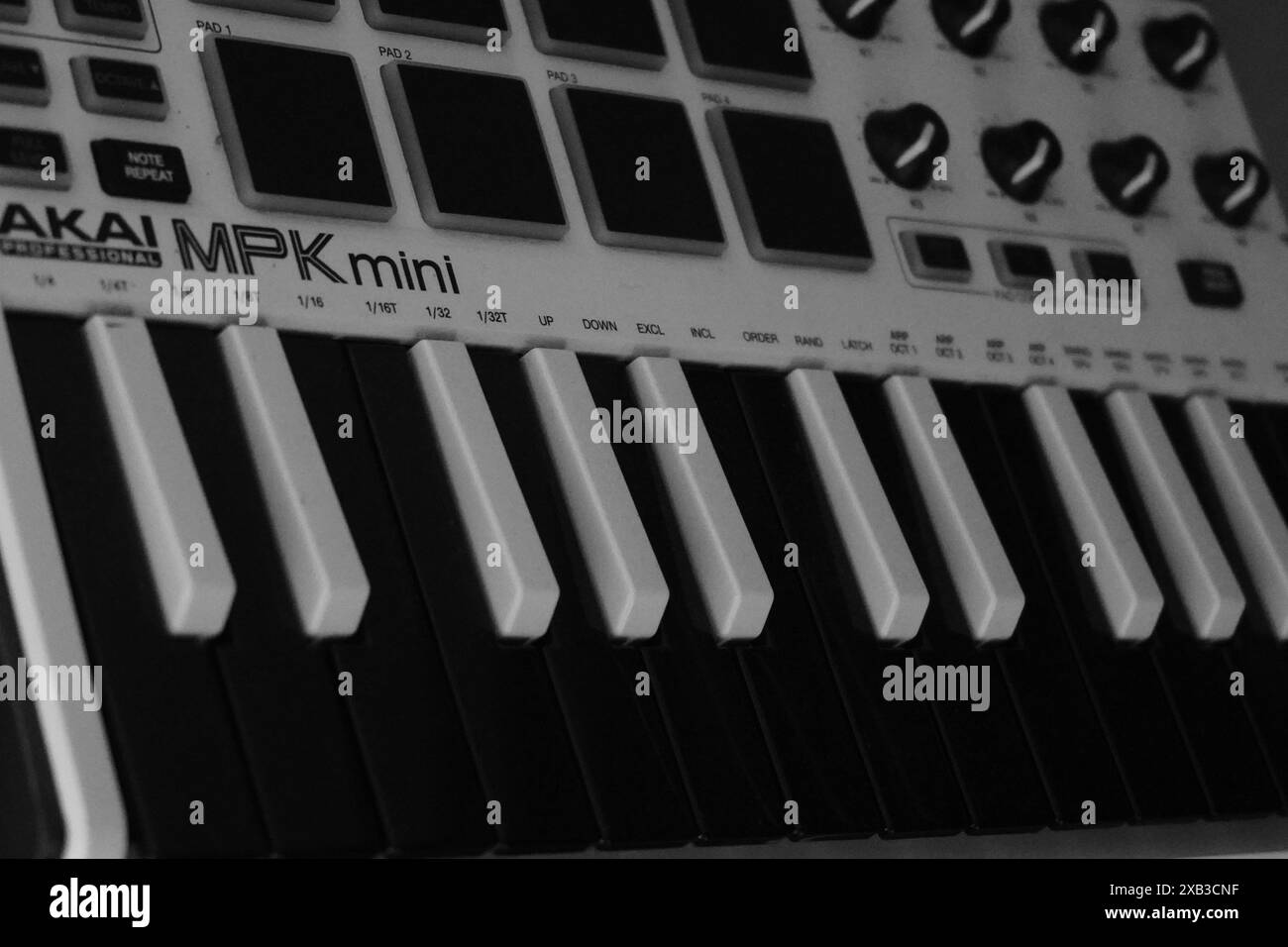 Die Tasten am Akai MPK Mini Midi-Controller sind schwarz-weiß. Wird zur Musikproduktion verwendet Stockfoto