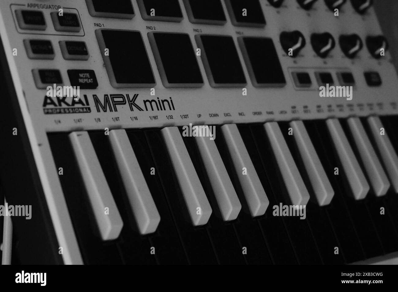 Die Tasten am Akai MPK Mini Midi-Controller sind schwarz-weiß. Wird zur Musikproduktion verwendet Stockfoto