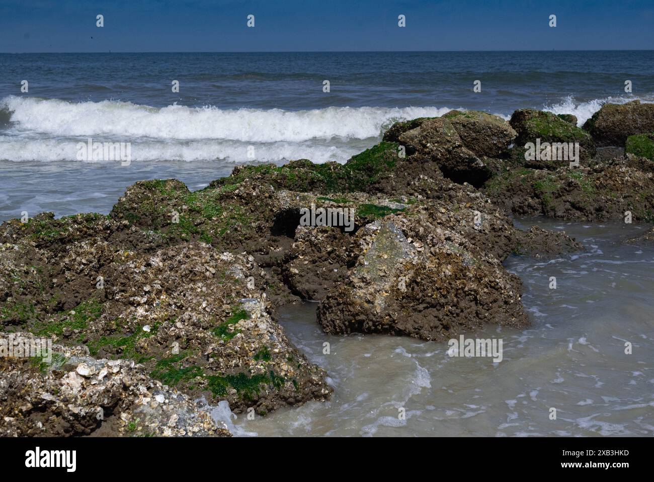 Rocky Ocean Shore auf Tybee Stockfoto