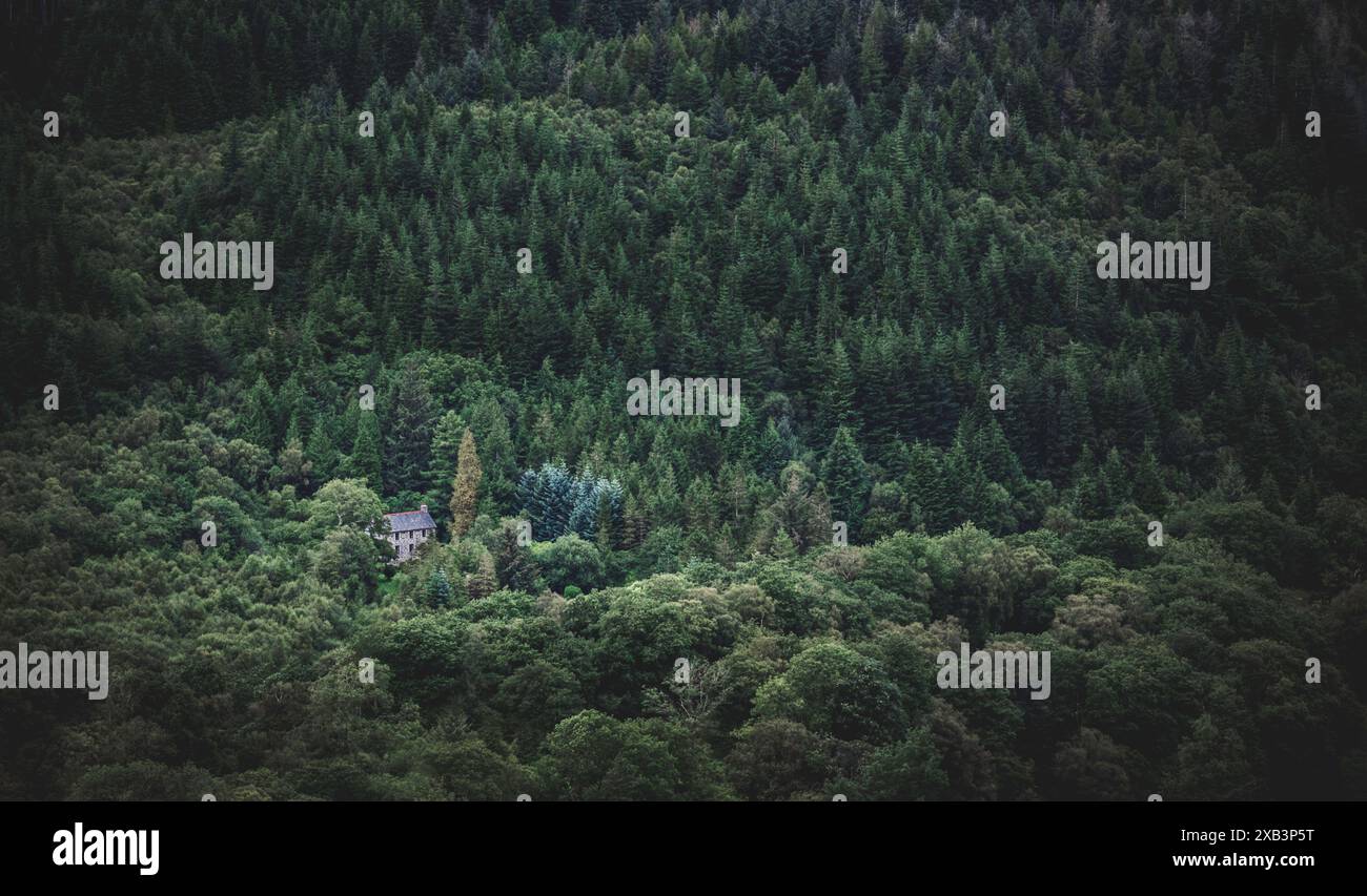 Abgeschiedenes Haus eingebettet in dichten Wald, ruhige und friedliche Landschaft, umgeben von üppigem Grün, ruhigen und malerischen ländlichen Rückzugsort, Bild Stockfoto