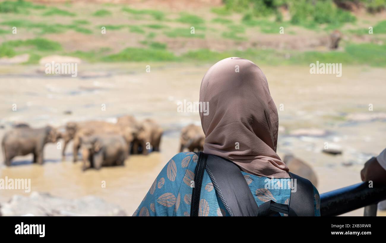 Asiatische Frauen mit Elefanten im Fluss, Sri Lanka, Elefantenwaisenhaus, Pinnawala Stockfoto