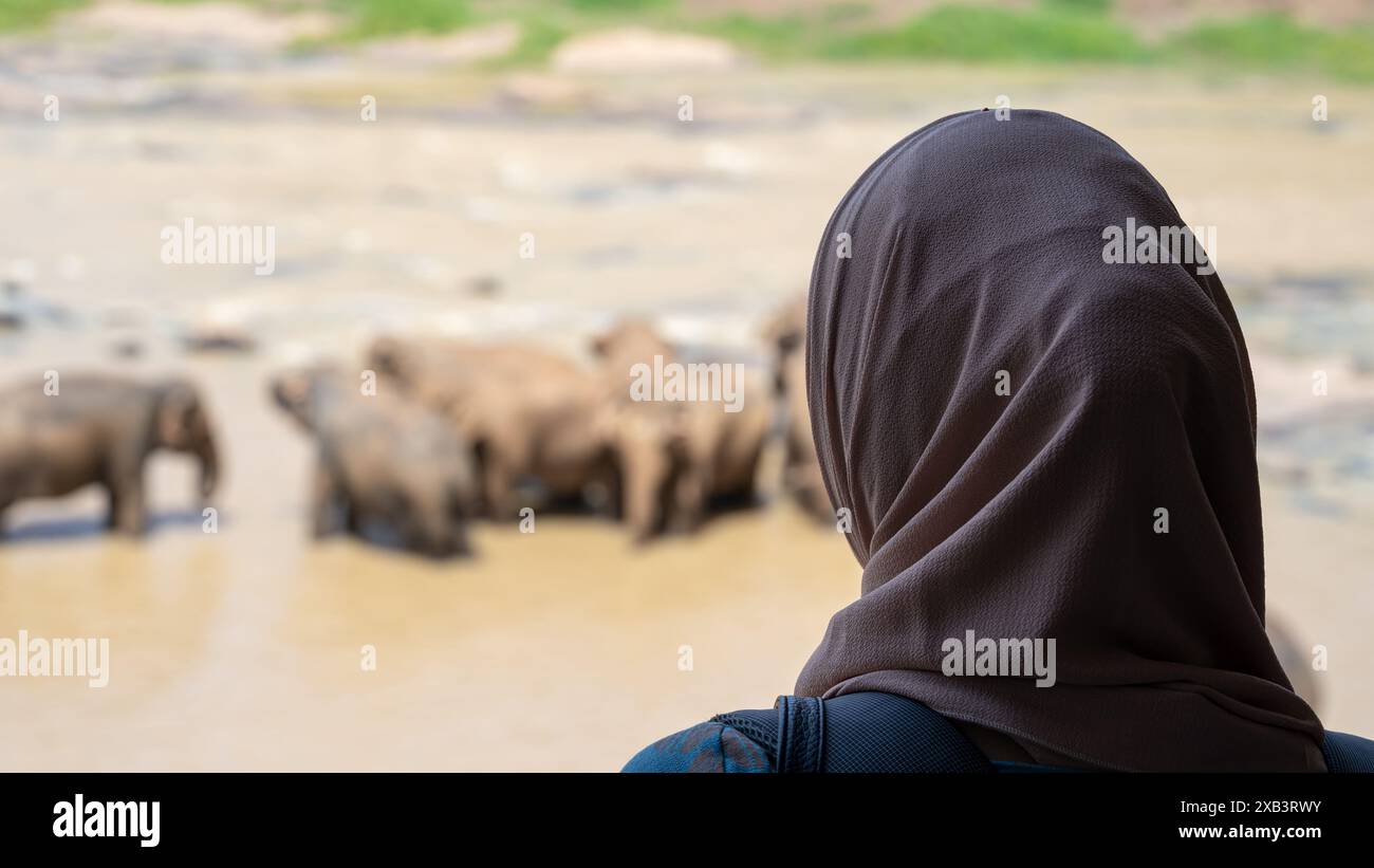 Asiatische Frauen mit Elefanten im Fluss, Sri Lanka, Elefantenwaisenhaus, Pinnawala Stockfoto