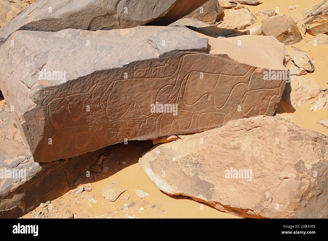 Petroglyphen bei Taghit in Westalgerien Stockfoto