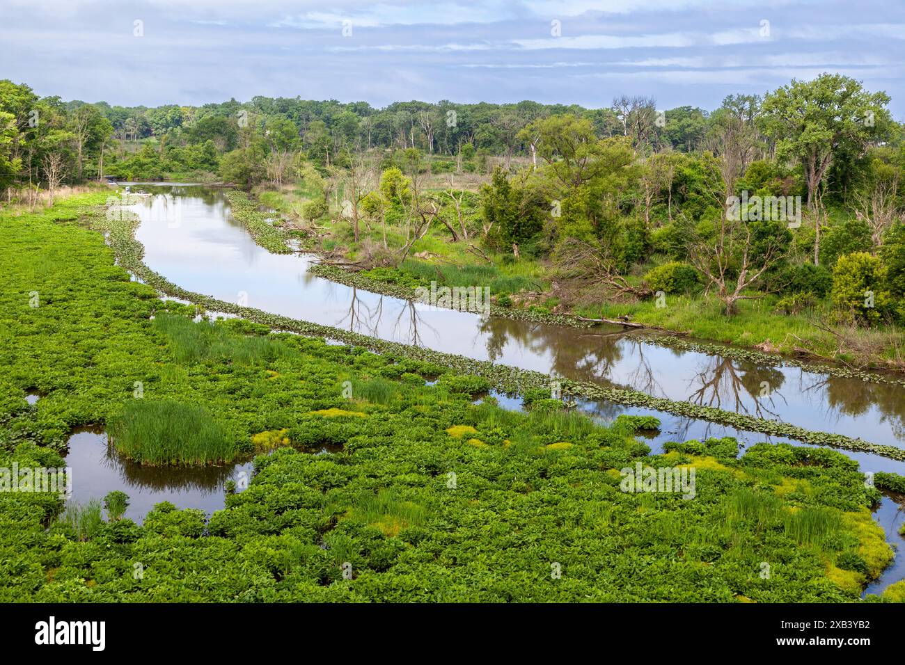 Der Galien River im Berrien County, Michigan Stockfoto