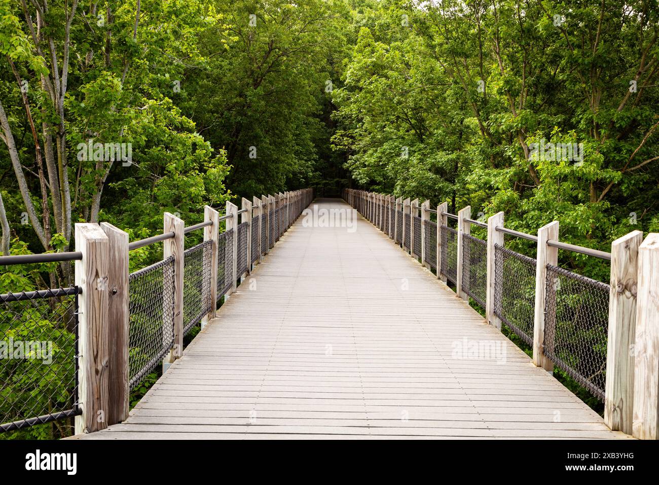 Der Baldachin Walkway am Galien River County Park in der Nähe von New Buffalo, Michigan. Stockfoto