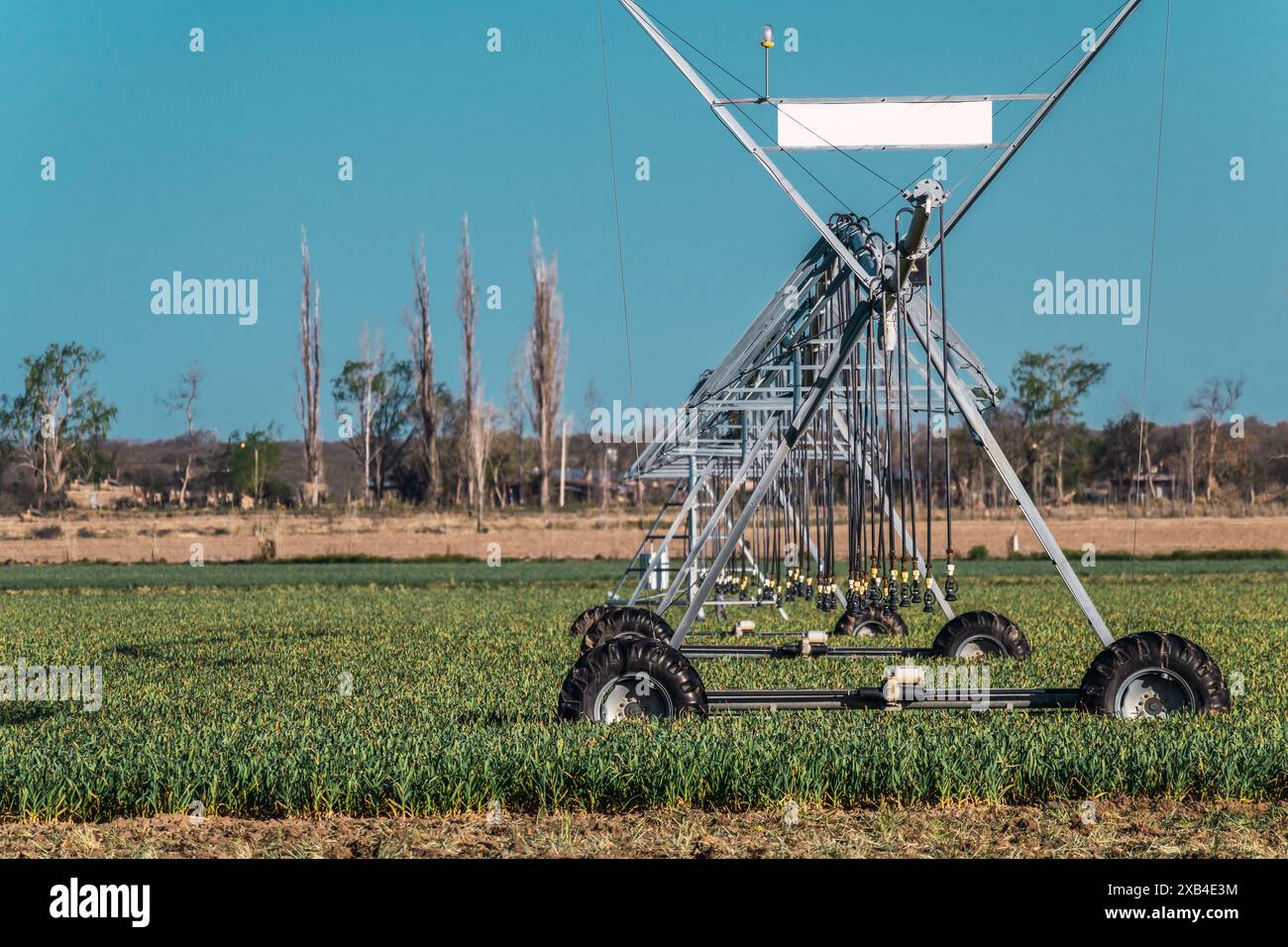 Pivot-Bewässerungssystem in Wüstenfeldern. Stockfoto
