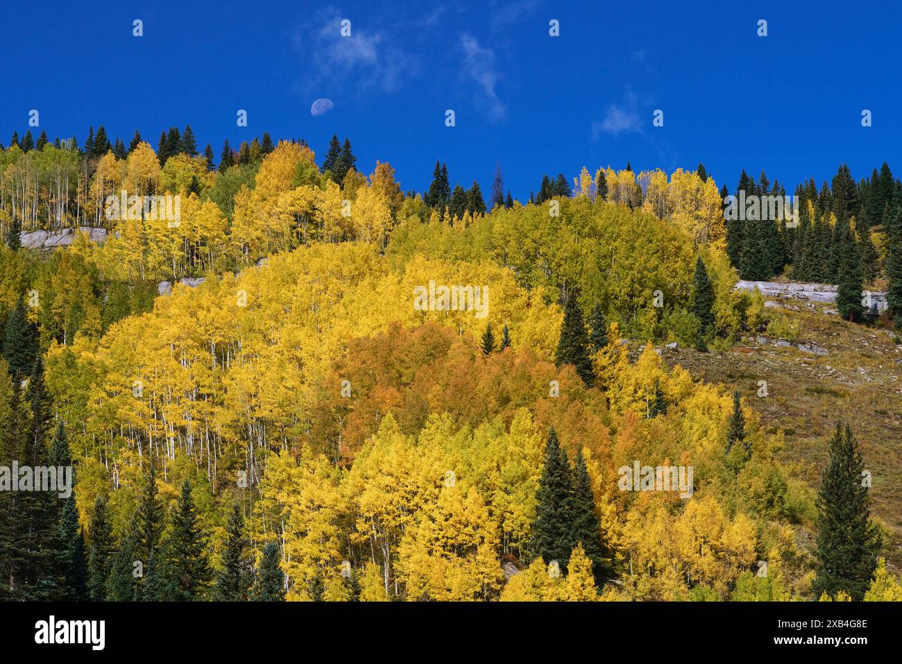 Der Mond untergeht über einer bunten Berglinie entlang des Million Dollar Highway in Colorado Stockfoto