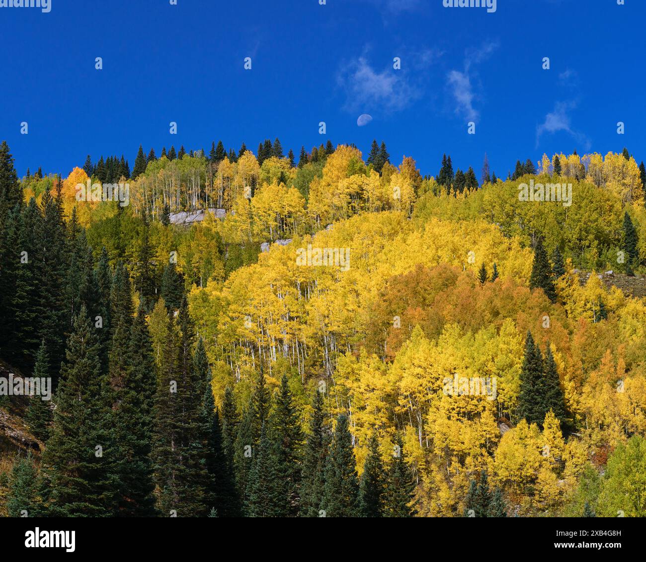 Der Mond untergeht über einer bunten Berglinie entlang des Million Dollar Highway in Colorado Stockfoto