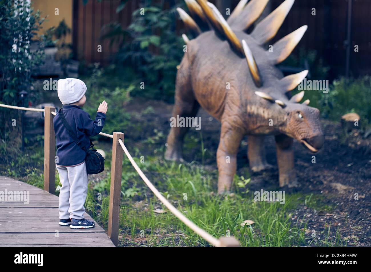 Der Stegosaurus hat einen Schwanz, der mit vorstehenden Knochenschilden bedeckt ist, die sich ebenfalls auf dem Rücken befinden. Ein Kind bewundert die Schönheit eines Dinosauriers hinter einem Zaun. Mit Platz zum Kopieren. Hochwertige Fotos Stockfoto