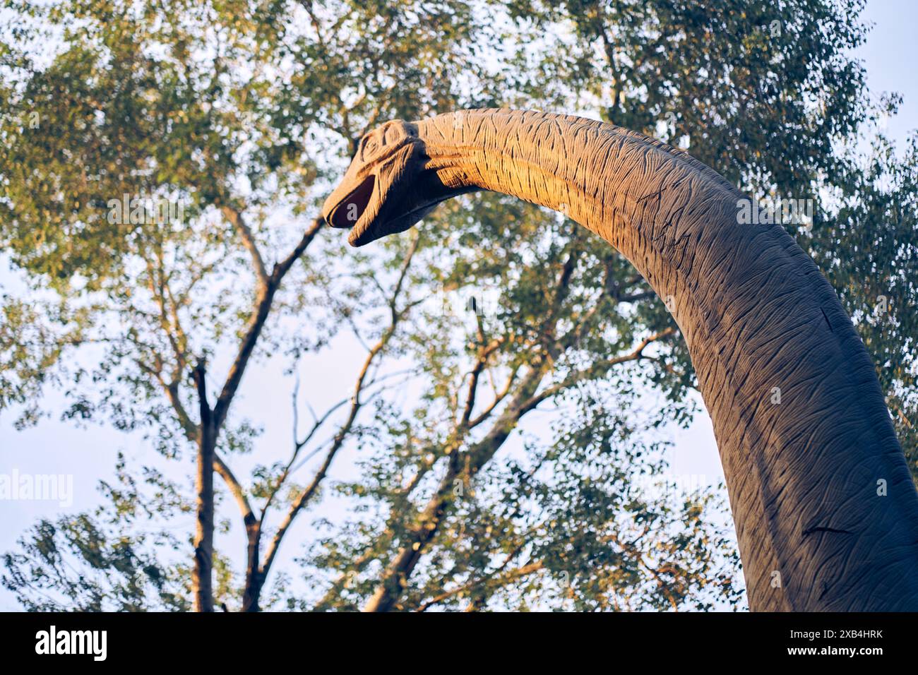 Der Kopf eines Brachiosaurus auf einem Hintergrund von Bäumen und Himmel. Der Dinosaurier war ein Sauropod, einer der größten. Er lebte am Ende der Jurazeit. Mit Platz zum Kopieren. Hochwertige Fotos Stockfoto