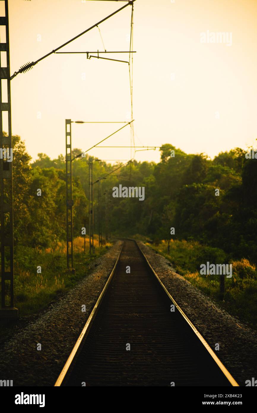 Ein ruhiger Blick auf die Eisenbahngleise, die sich in die Ferne erstrecken, umgeben von üppigem Grün und im goldenen Glanz der untergehenden Sonne gebadet, was die Highlights hervorhebt Stockfoto