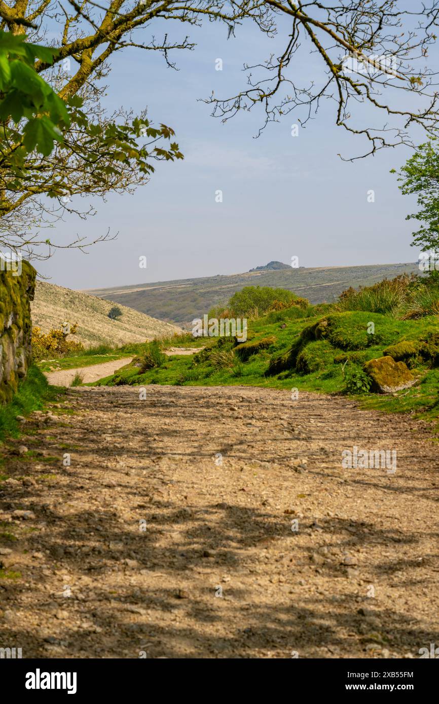 Der Fußweg nach Wistman's Wood und Longford Tor von zwei Brücken Stockfoto